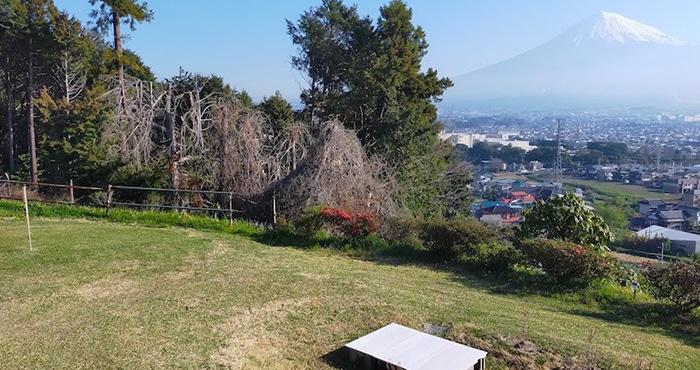 富士山絶景下段サイト